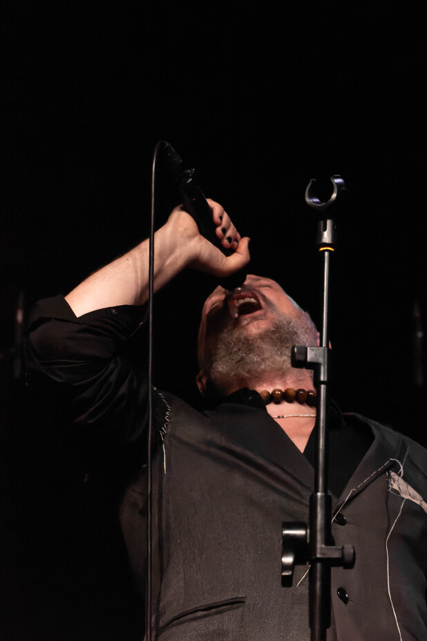 Damir Urban14