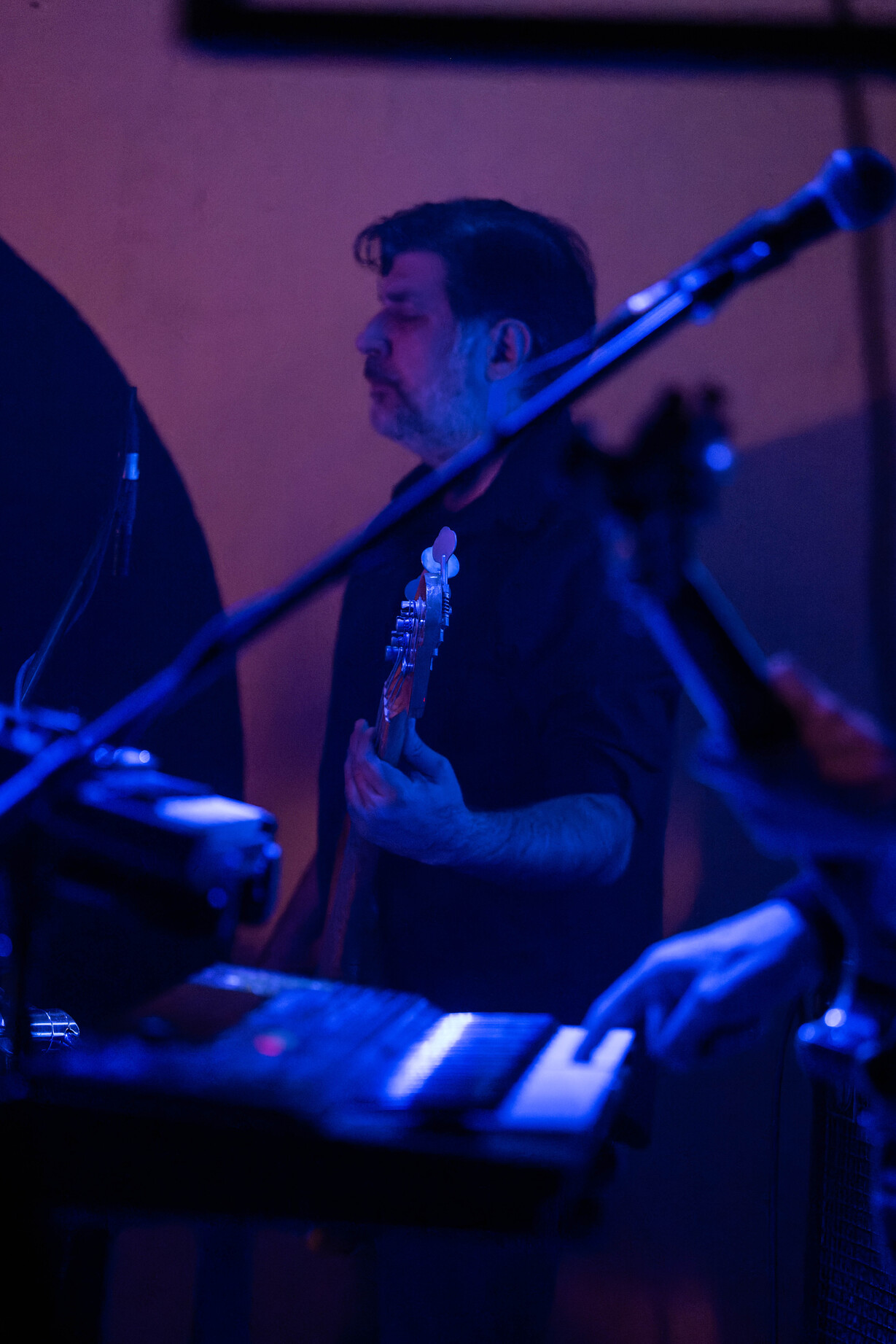Nikola Vranjković, Svitac_10