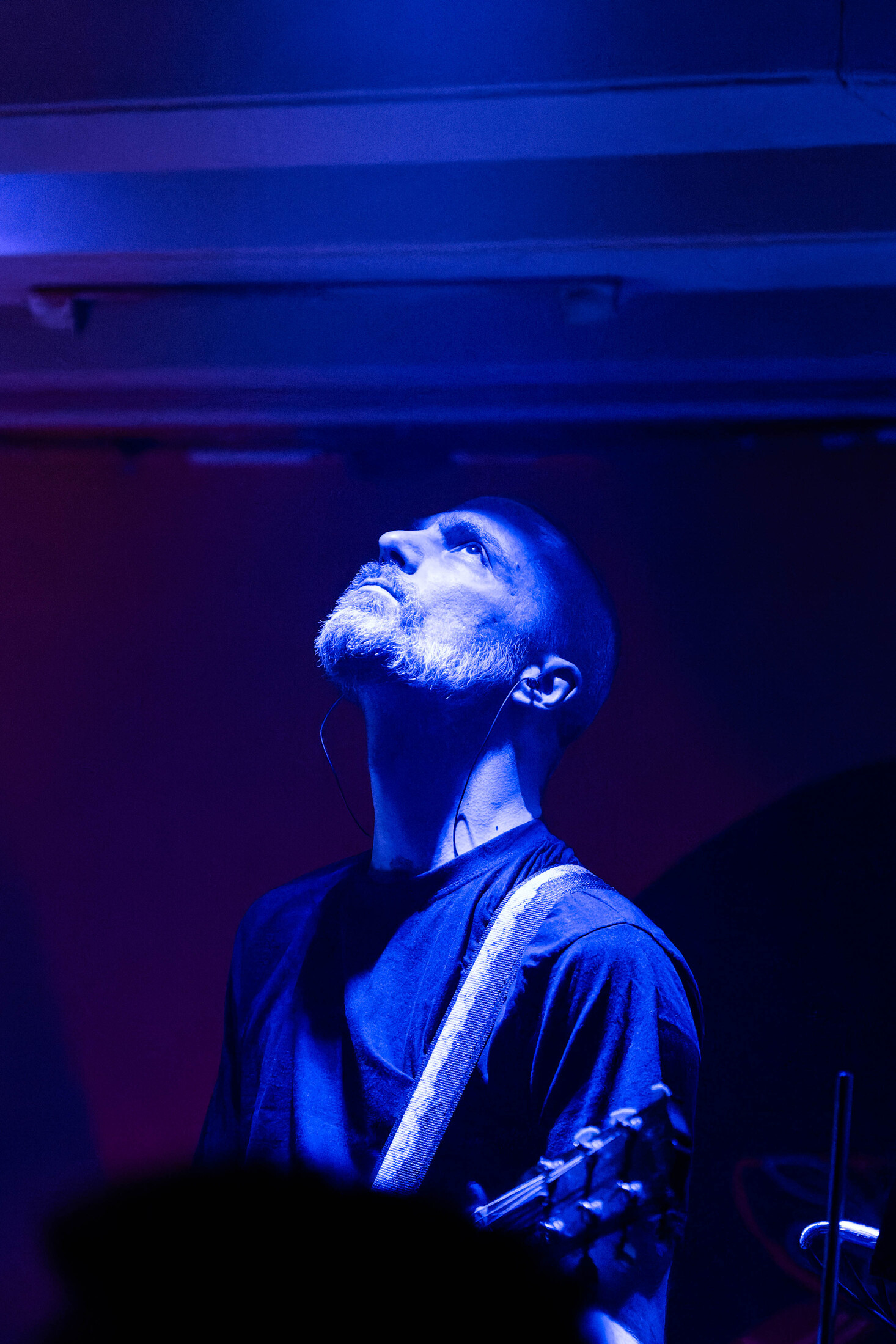Nikola Vranjković, Svitac_29