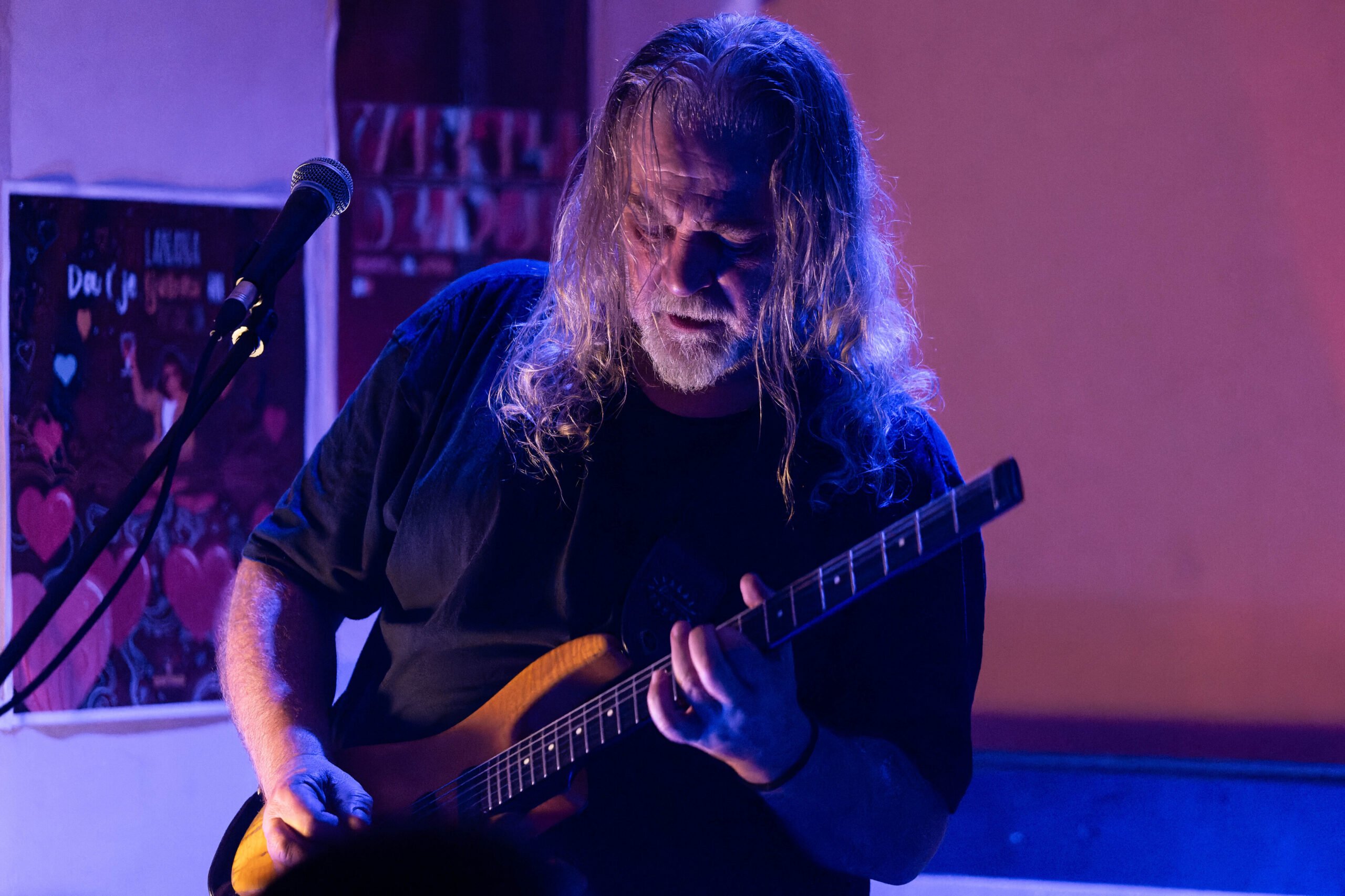 Nikola Vranjković, Svitac_33