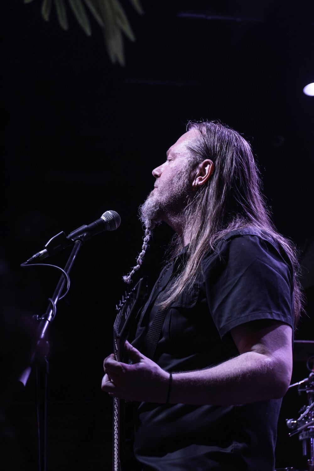 Sirenia14
