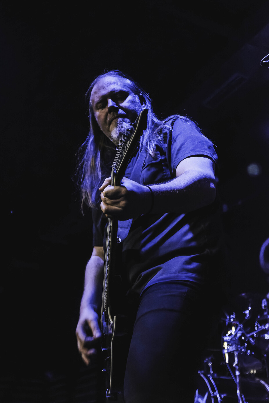 Sirenia6