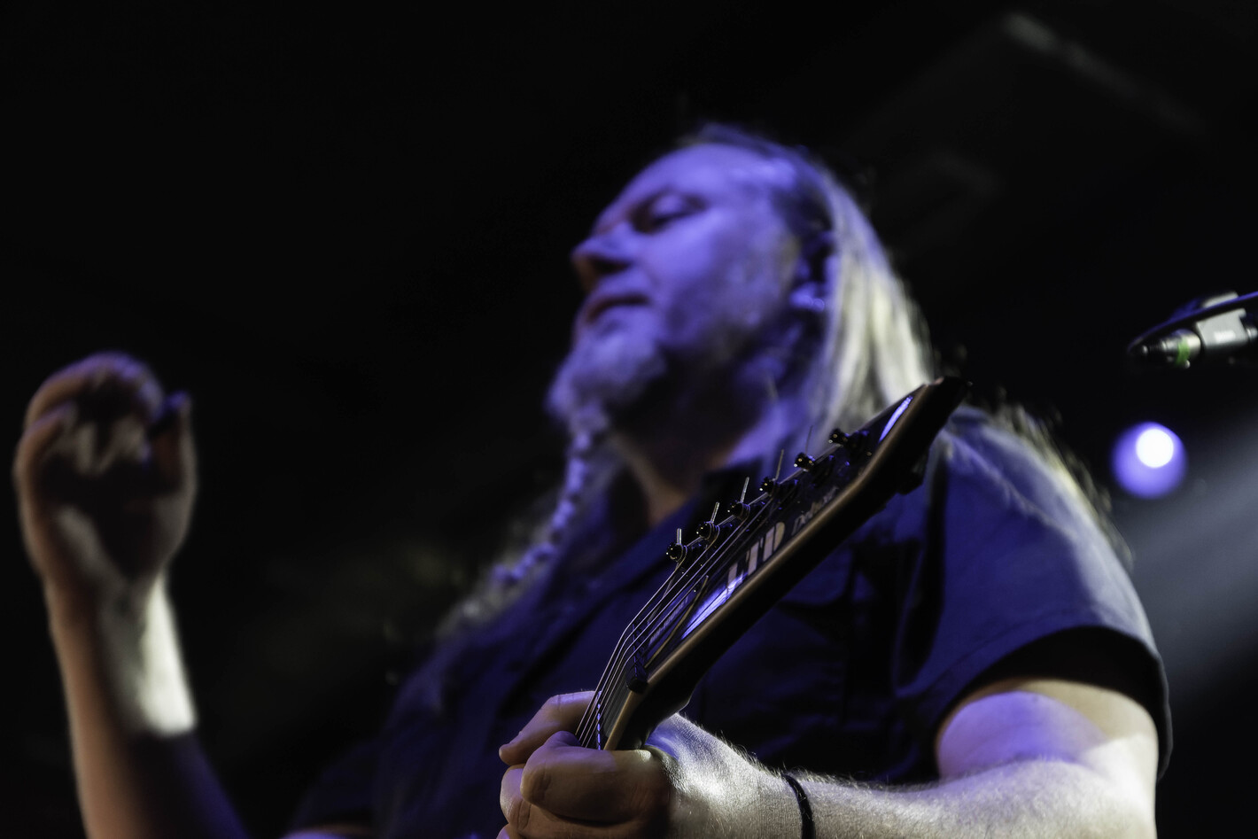 Sirenia7
