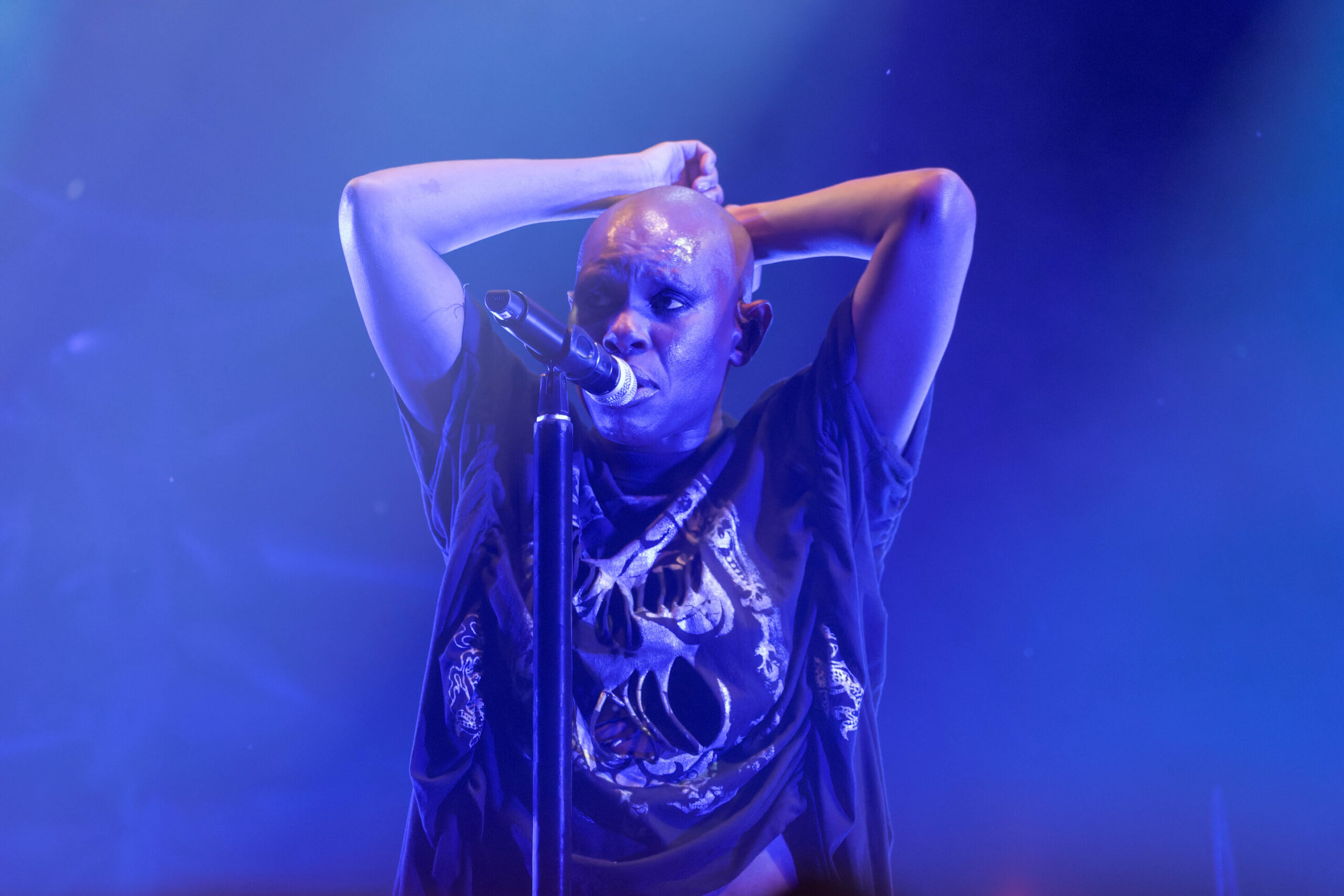 Skunk Anansie15