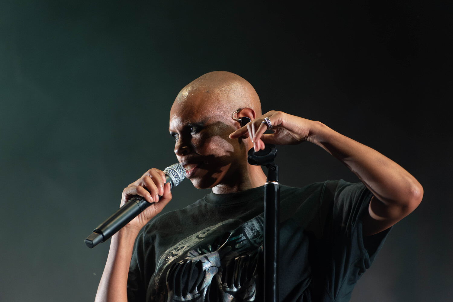 Skunk Anansie31