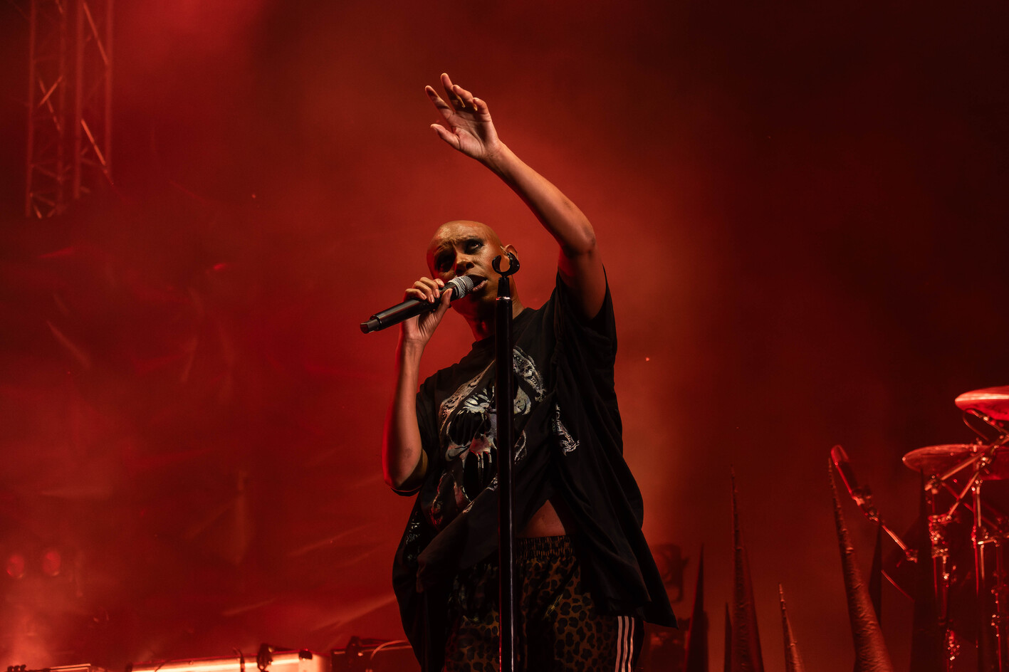 Skunk Anansie35