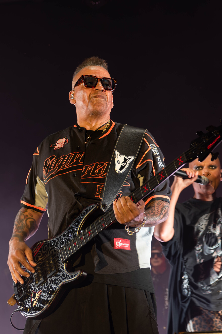 Skunk Anansie39