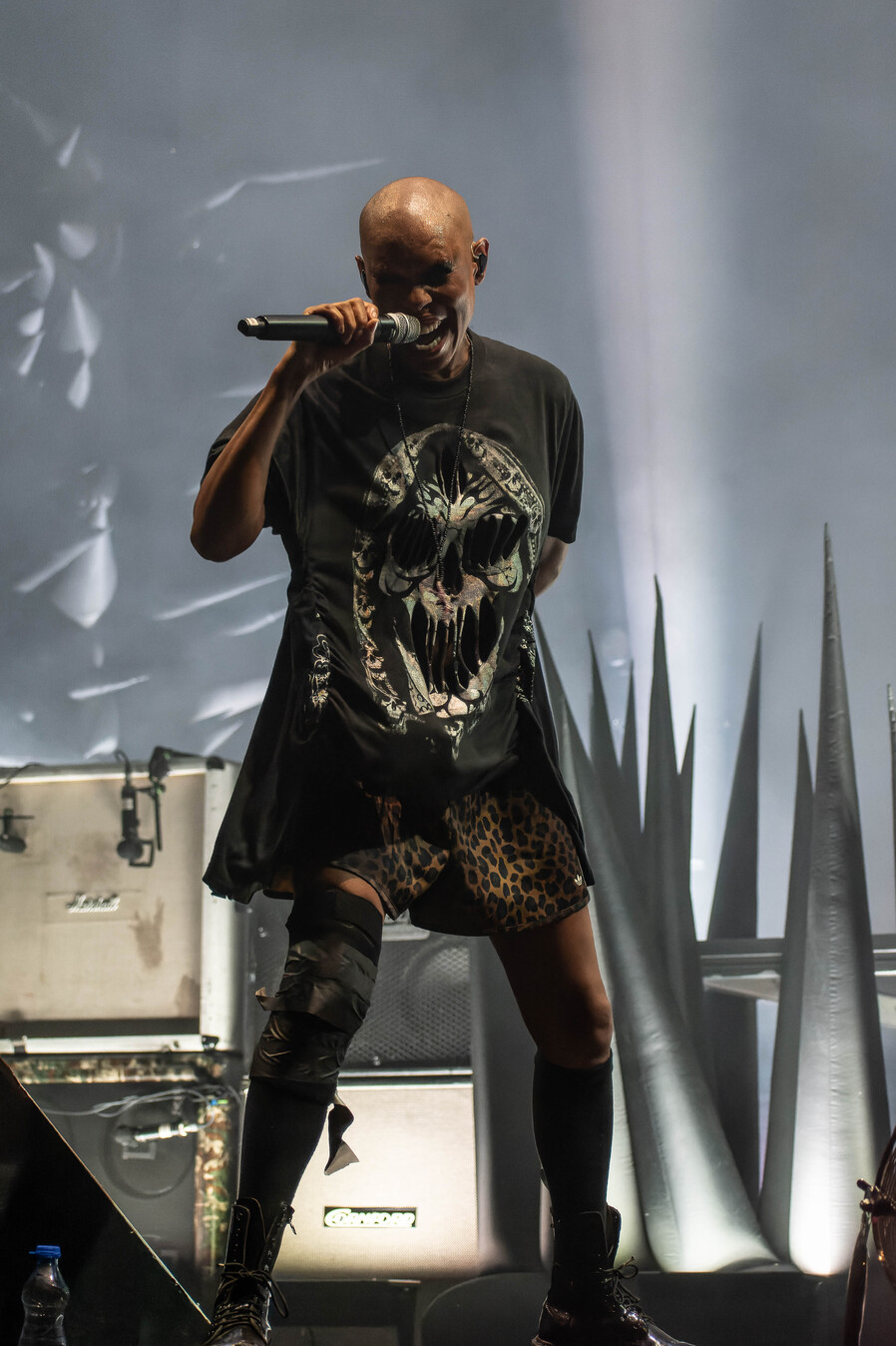 Skunk Anansie53