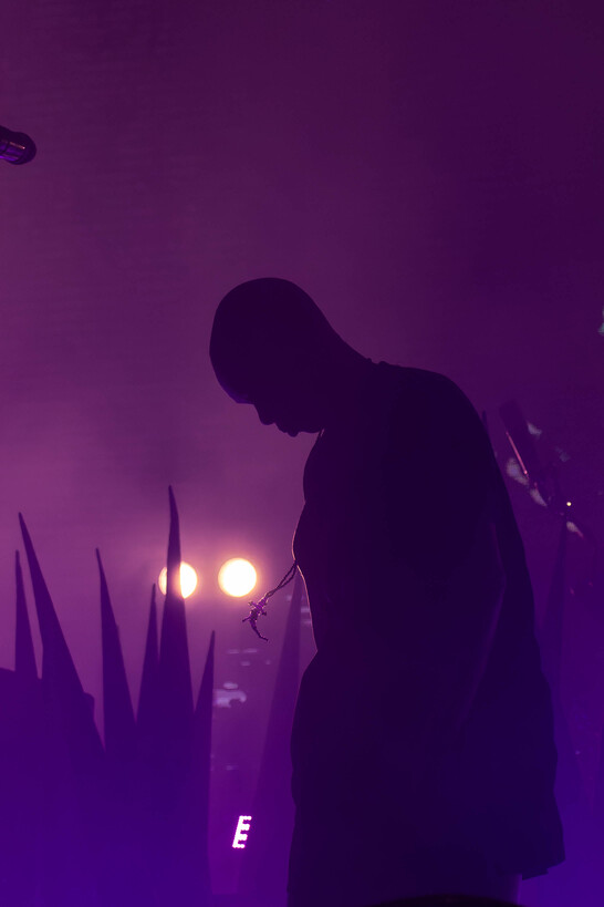 Skunk Anansie55