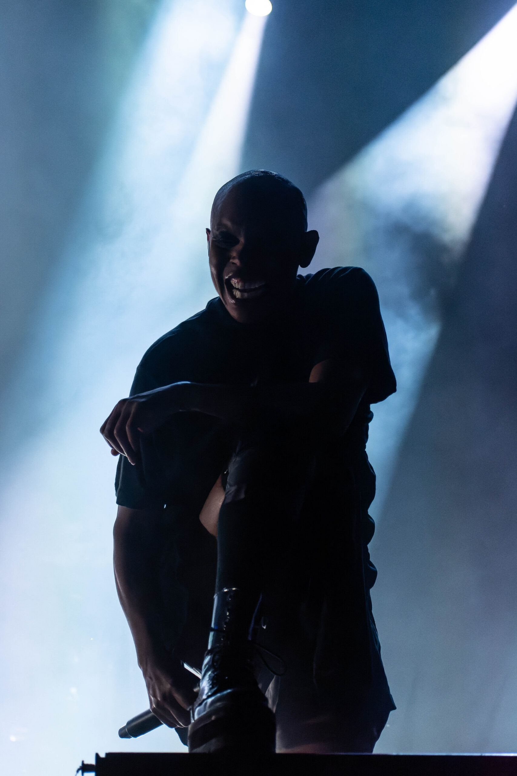 Skunk Anansie6