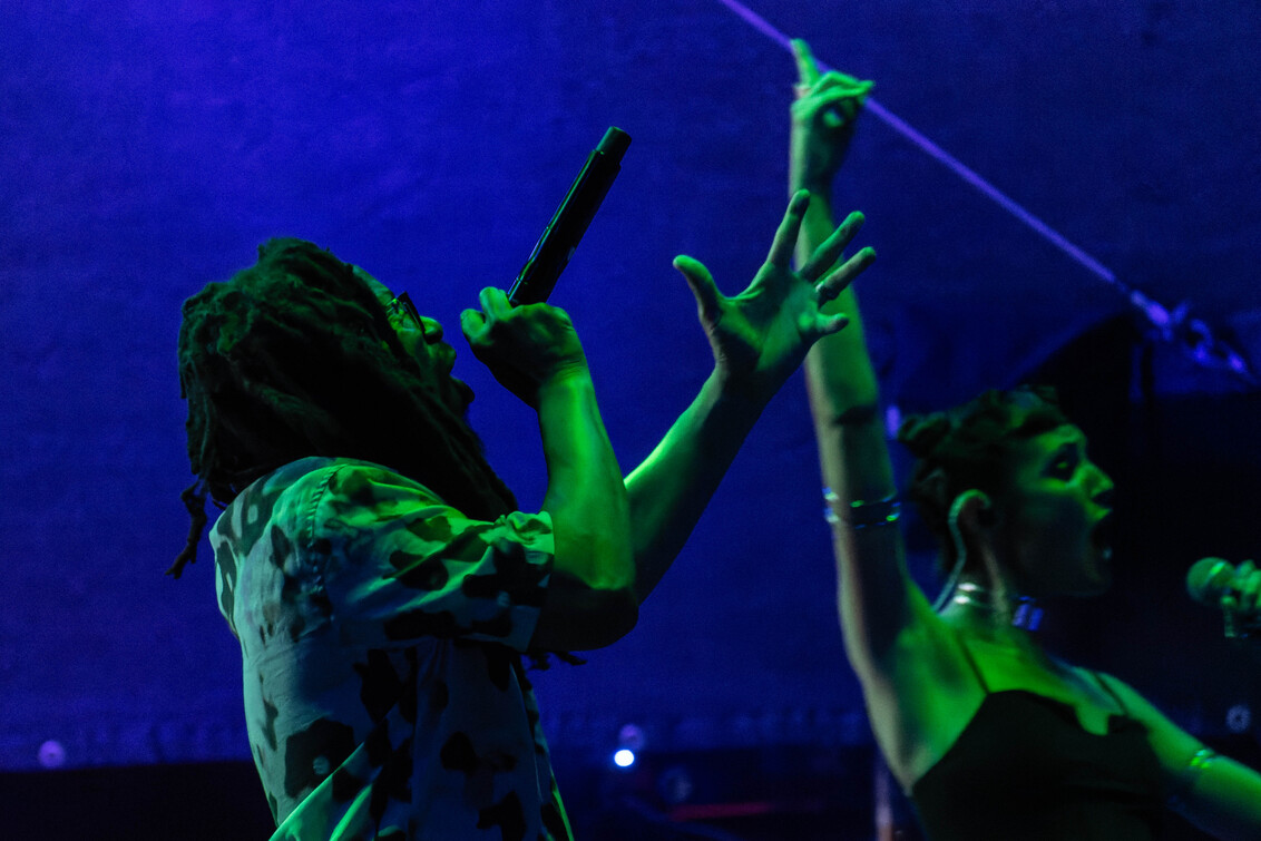 Thievery Corporation6
