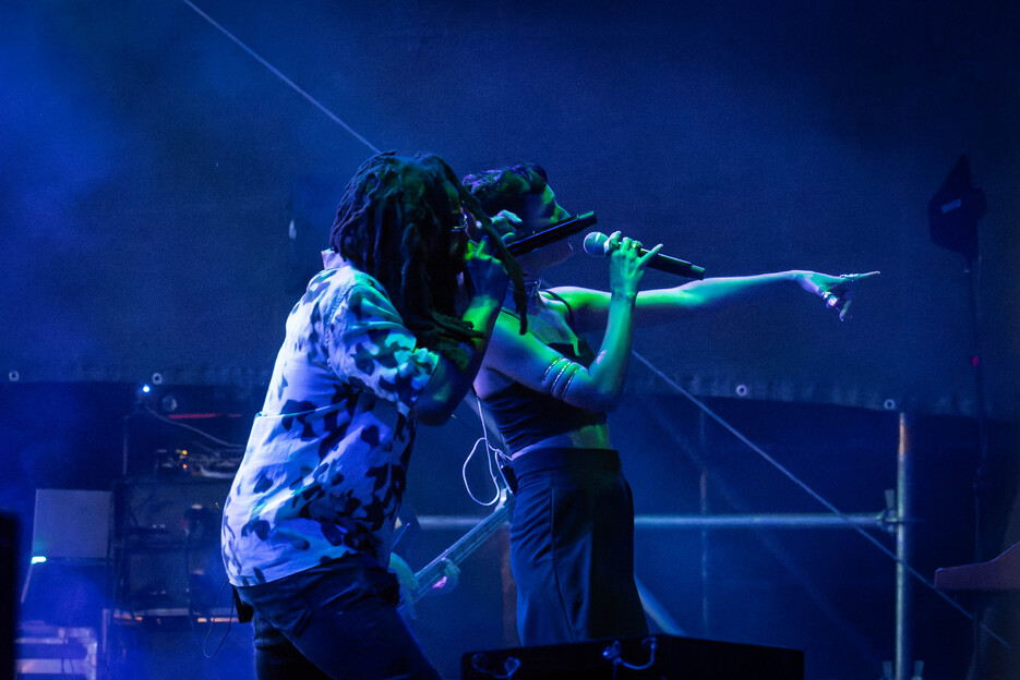 Thievery Corporation8