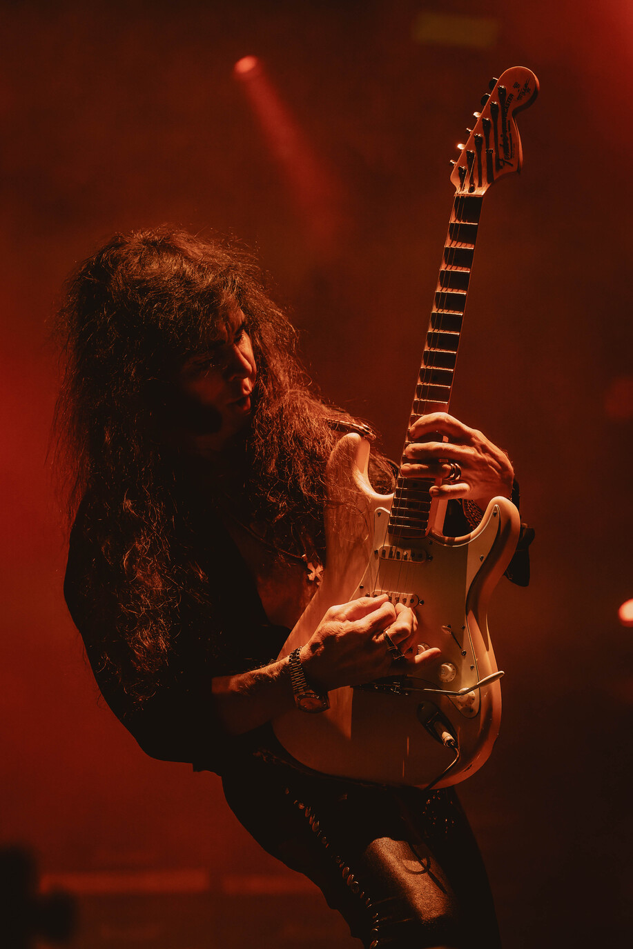 Malmstin_9