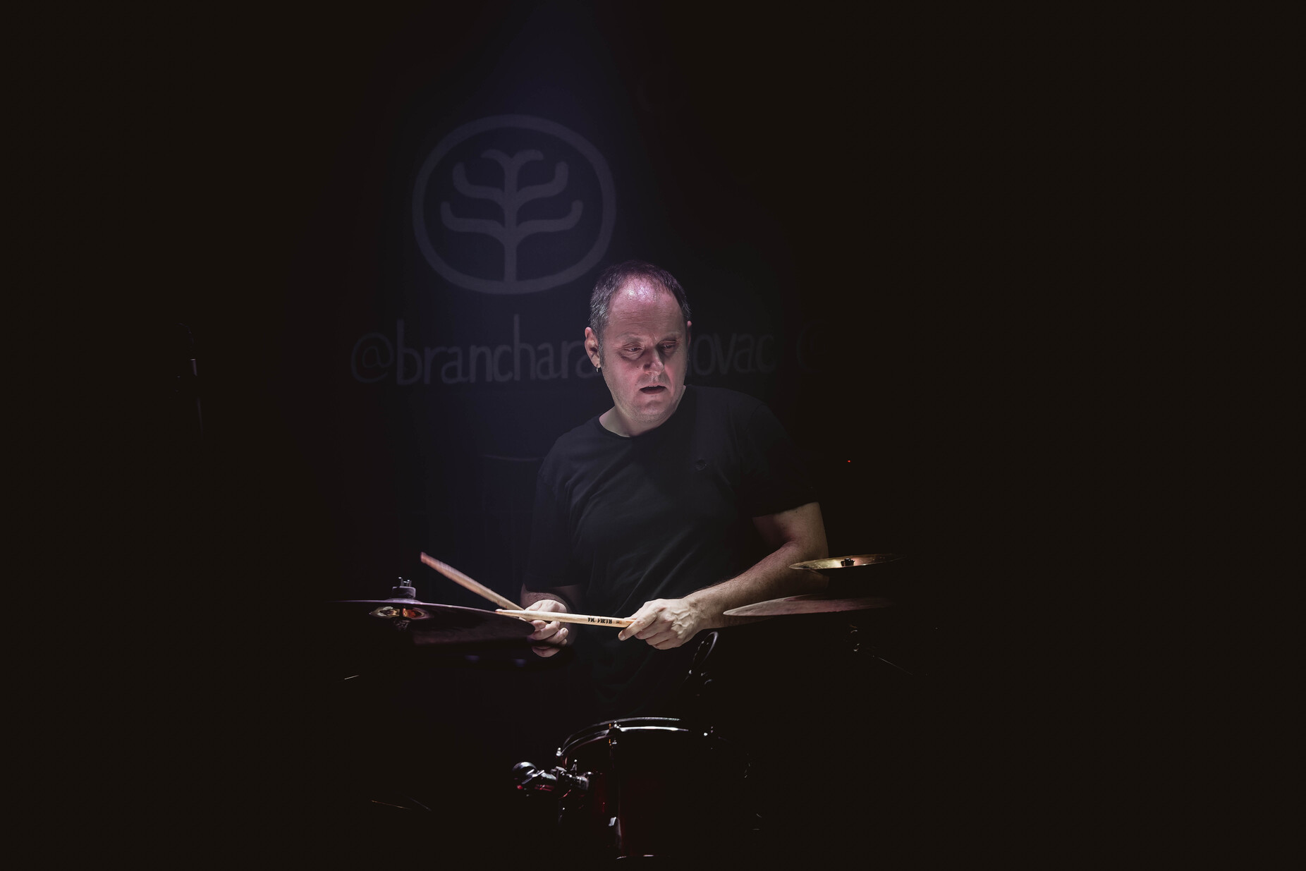 Nikola Vranjković, Branch_45