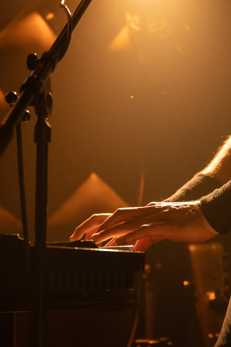 Nikola Vranjković, Fest, 2025_24