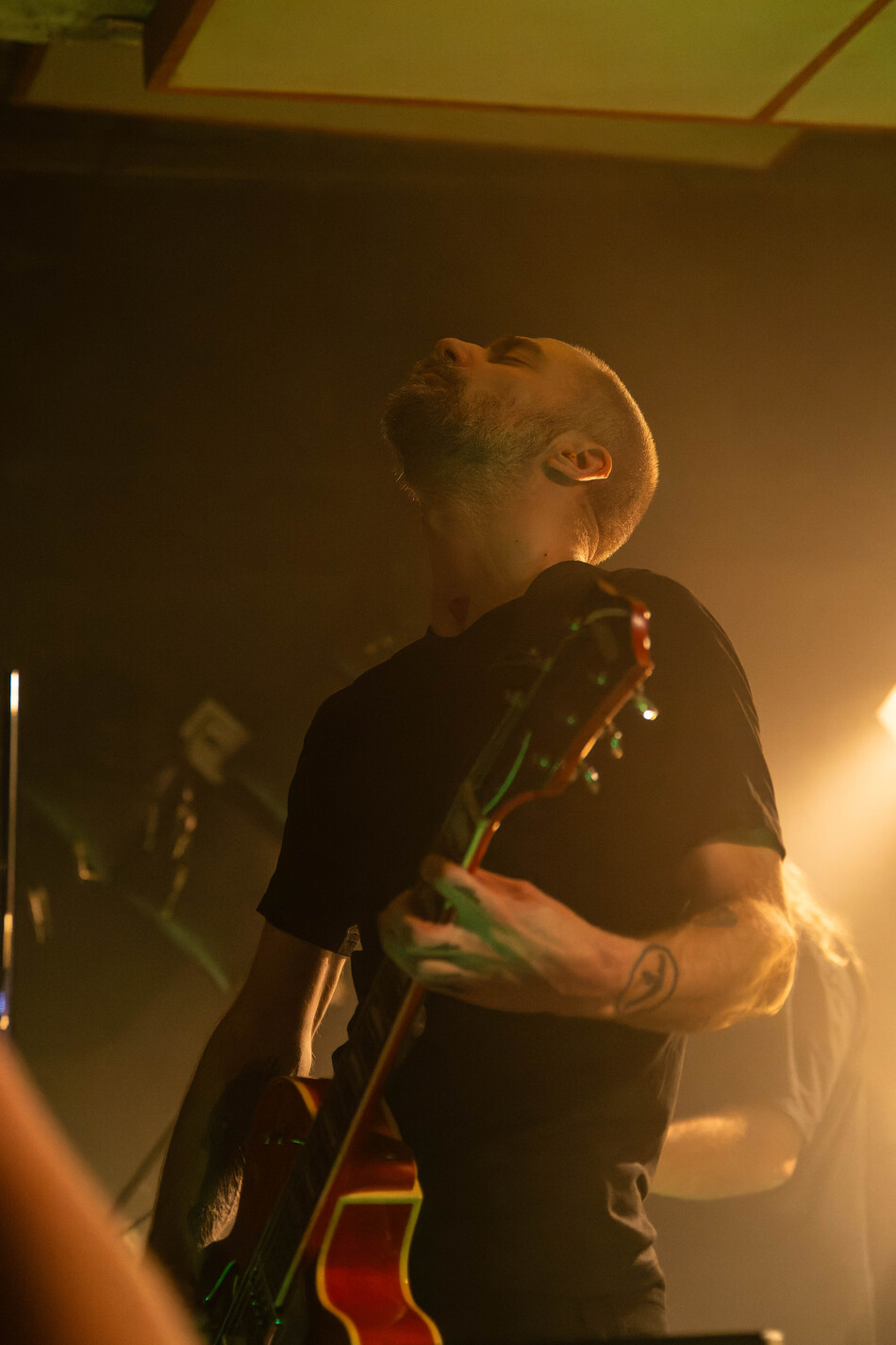 Nikola Vranjković, Fest, 2025_29