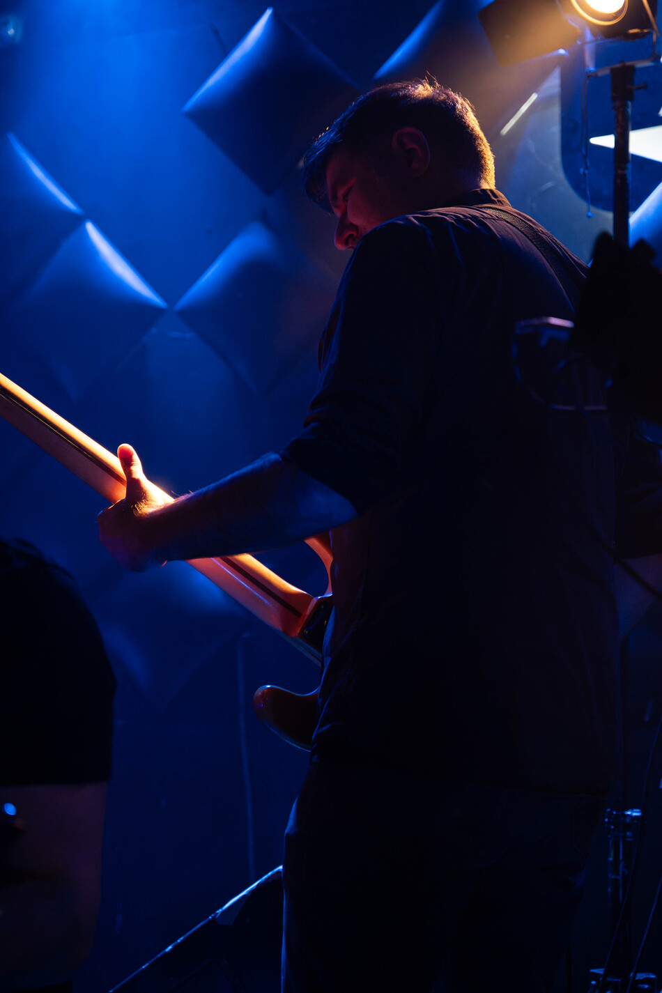 Nikola Vranjković, Fest, 2025_3
