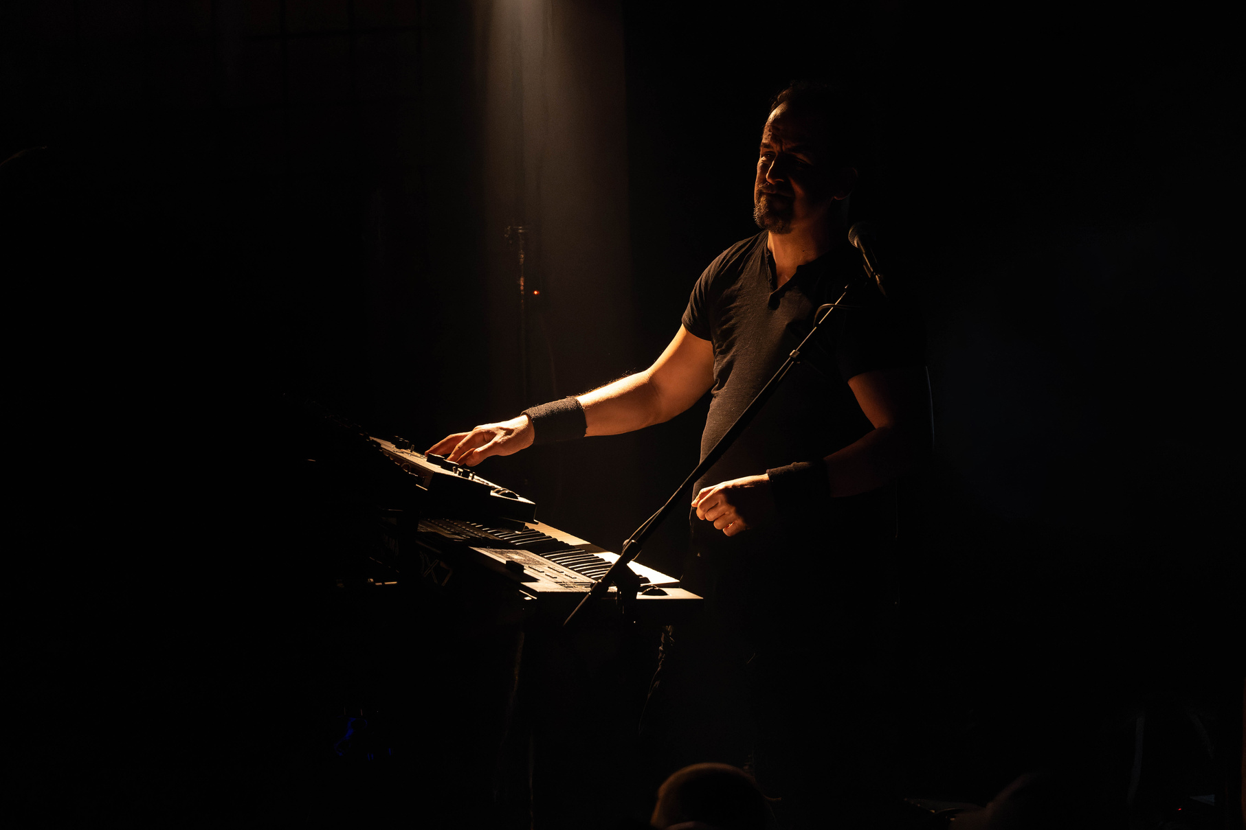 Nikola Vranjković, Zappa Baza_19