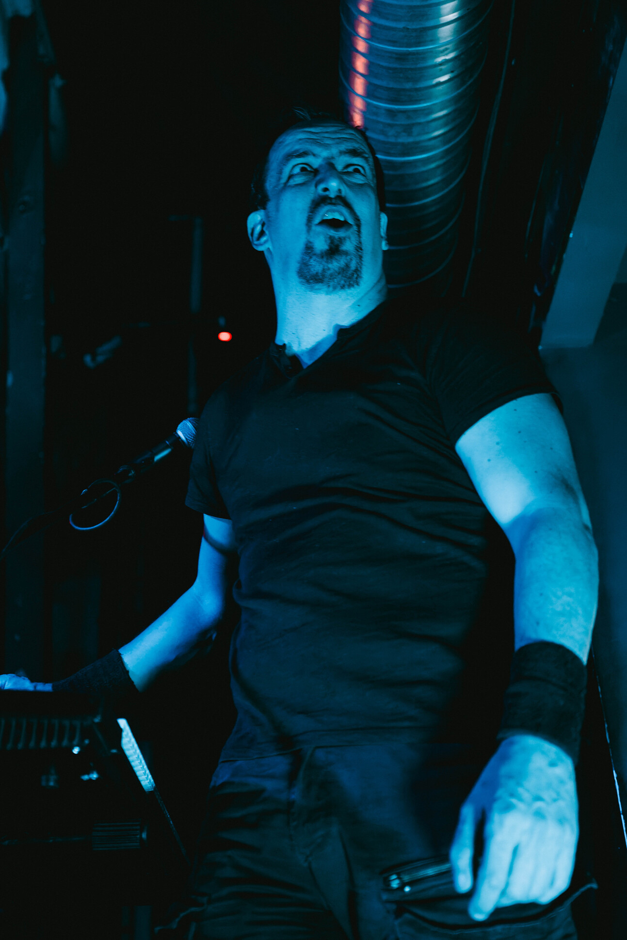Nikola Vranjković, Zappa Baza_23