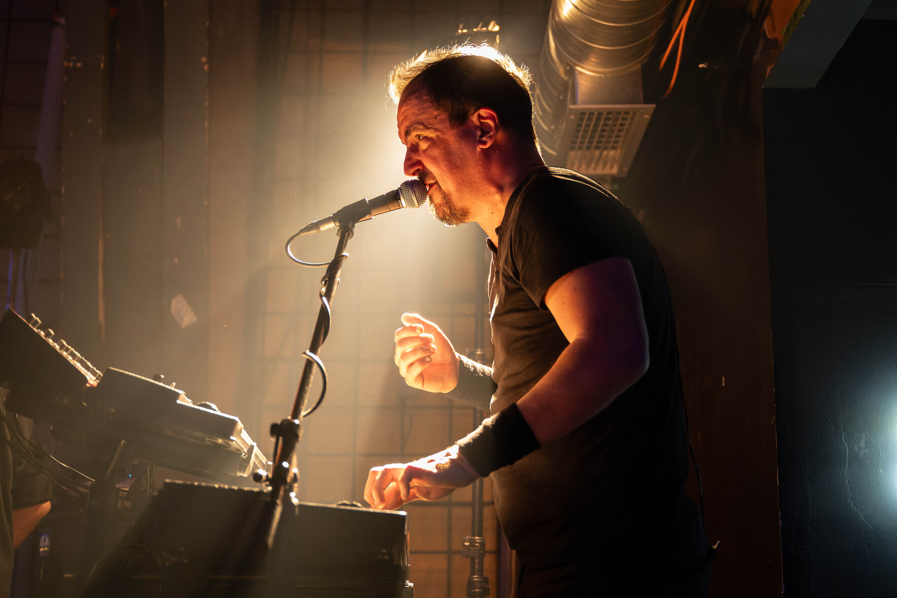 Nikola Vranjković, Zappa Baza_39