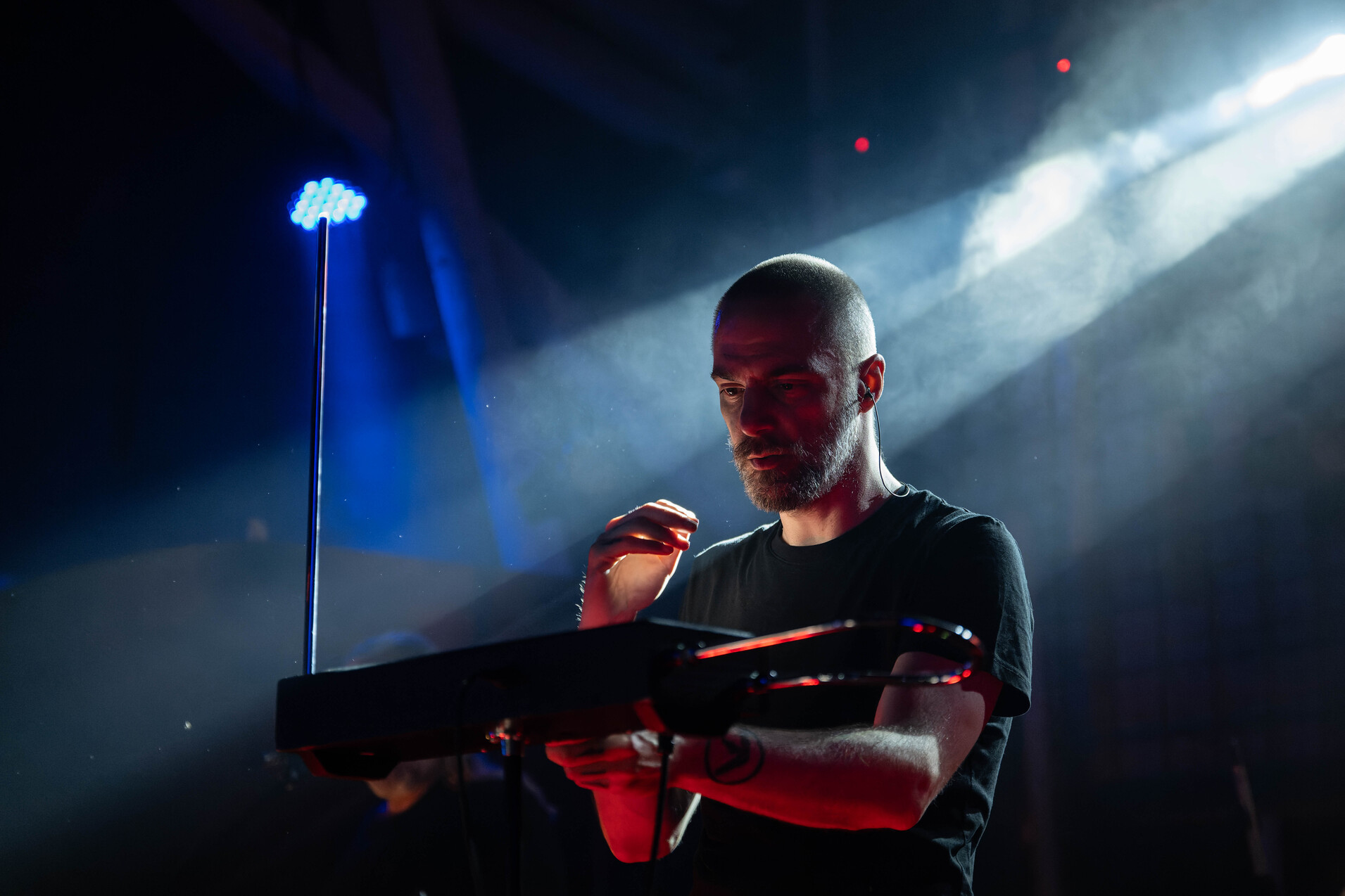 Nikola Vranjković, Zappa Baza_45