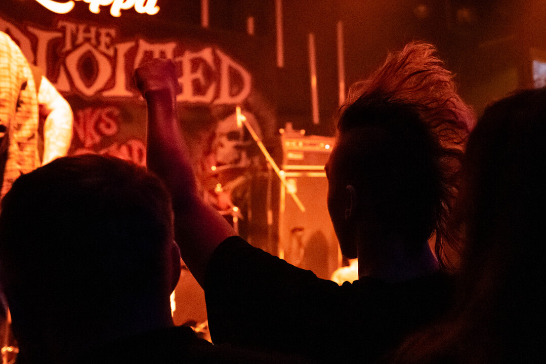 The Exploited_1