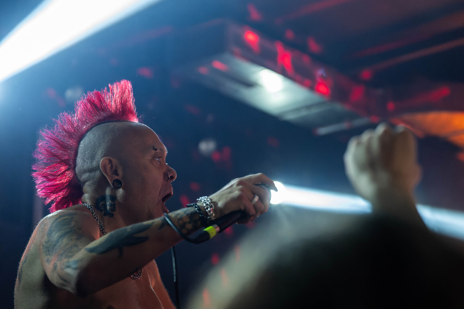 The Exploited_13