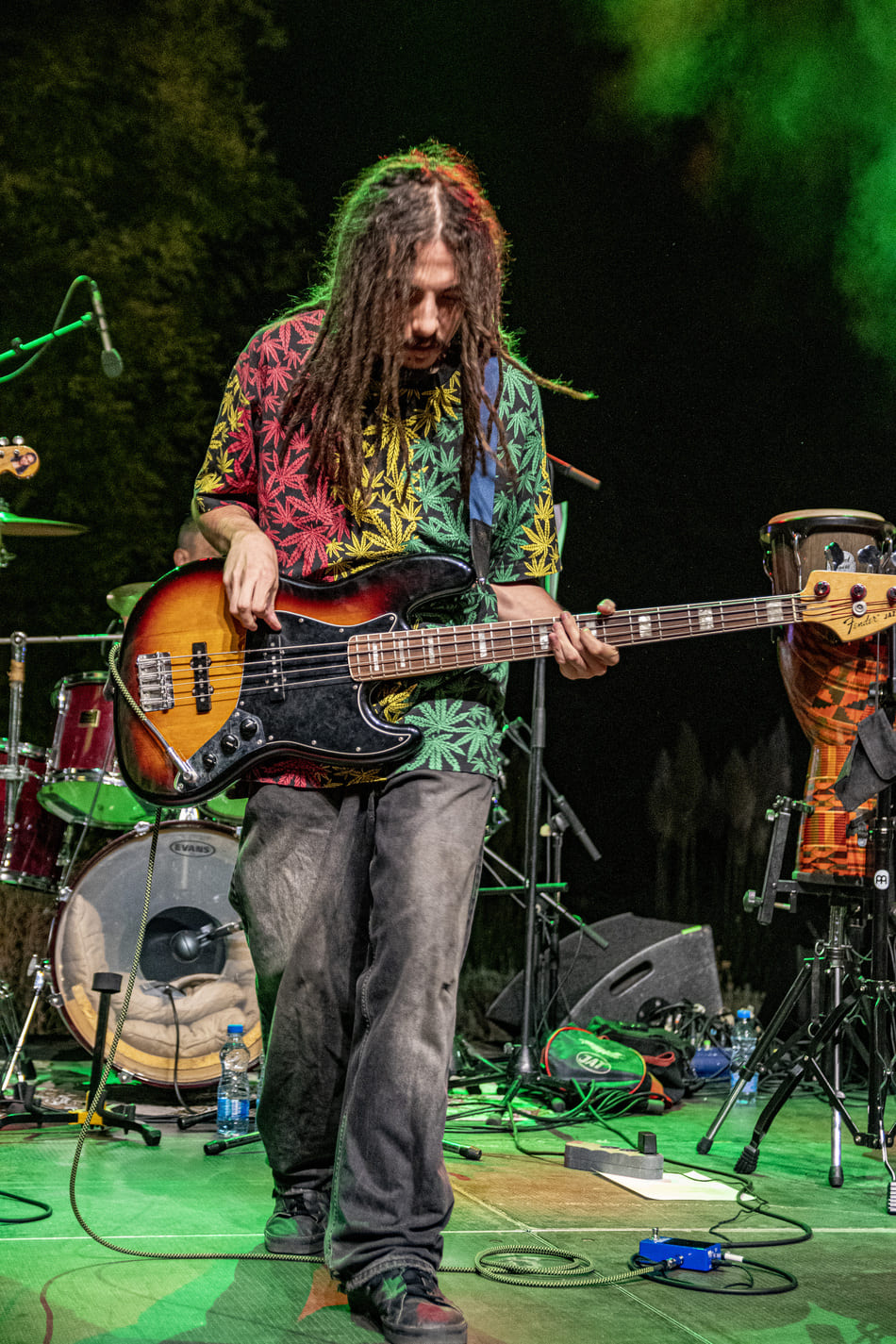 Koncert povodom 40 godina Del Arno Banda2